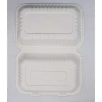 Bagasse-Zuckerrohr-Nahrungsmittelbehälter