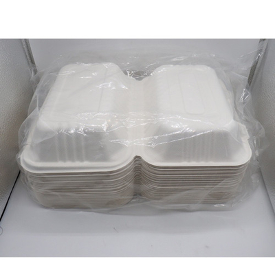 Bagasse-Zuckerrohr-Nahrungsmittelbehälter