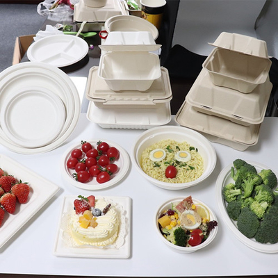 Bagasse-Zuckerrohr-Nahrungsmittelbehälter