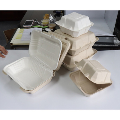 Bagasse-Zuckerrohr-Nahrungsmittelbehälter
