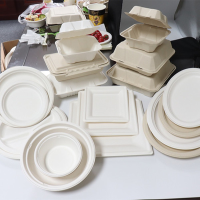 Bagasse-Zuckerrohr-Nahrungsmittelbehälter
