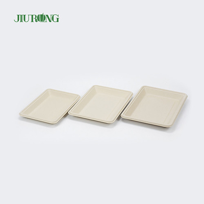 PLA biologisch abbaubares Bagasse-Geschirr, Fast-Food-Serviertablett