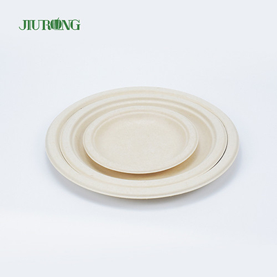 Fast Food Sugarcane Food Container Biologisch abbaubare Verpackung 22,9 cm rund