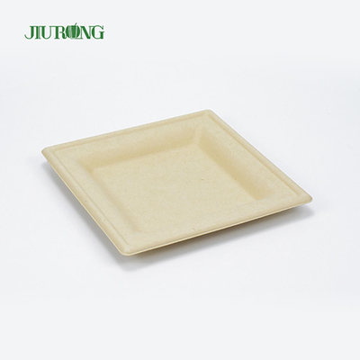 Umweltfreundlicher Einweg-Lebensmittelbehälter aus Zuckerrohr, biologisch abbaubares Bagasse-Sushi-Tablett